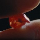 진진한의원 이미지