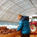 정아농장 이미지