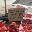 노닥거리 이미지