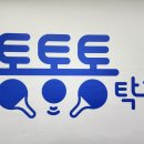 통통통탁구