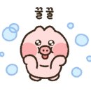 세미라이브카페 이미지
