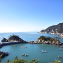 흑산도 Daum카페