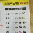 팀맥 스타짐 이미지