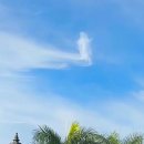 형상과 현상 이미지