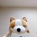 마법의손의원