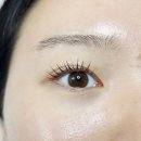 엔젤아이래쉬 | 옥련동 속눈썹연장으로 금손 사장님 엔젤아이래쉬 방문후기!