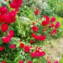 만물민박 이미지