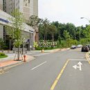 양지로·양지남로 Daum카페