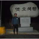 홍천(양양) Daum카페
