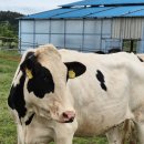 여운목장 이미지