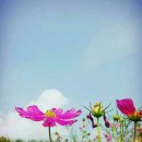 비산3동-1 이미지