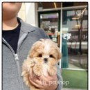 이정훈 강아지 이미지