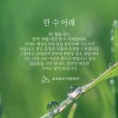 수아래 이미지