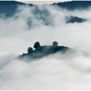 차마시기 이미지