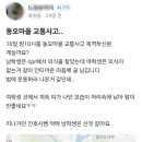 지난달 발생한 안타까운 신혼부부 사망 사고 사건 이미지