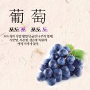 눈과 입이 행복해지는 우리 먹거리 디저트 떡(수시접수) | 12월.행복2024 마지막까지 달려 🏃‍♀️