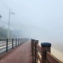 롱비치민박 이미지