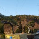 대야원 이미지