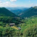 금두꺼비 이미지