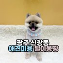 털이몽땅 이미지