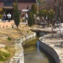 몽글몽글 펫 | 화성 더포레 카페 - 주차 편하고 아이들 뛰놀기 좋은 숲속 힐링 명소
