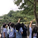 중곡샛별어린이집 이미지