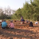 강화농원민박 이미지