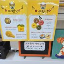 애견의숲 이미지