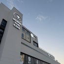 멍나들이 | [김포 애견카페 -멍더쿠] 내돈내산 천연잔디 애견카페 솔직 후기 소형견 브런치메뉴 (서이추 환영)