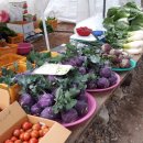 단풍나무펜션민박 이미지