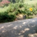 명천로,화암로 Daum카페