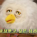 딩동댕 이미지