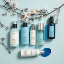 신흥화장품 | 311억 매출 K뷰티 일본 열풍, 한국을 넘어선 신흥 강자의 비밀