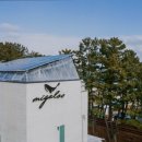 미갈루펜션 | 근덕면펜션 미갈루 독채 풀빌라펜션 해수욕장 1분 거리