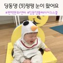 딩동댕 플레이 키즈스쿨(8~14개월) | 현대백화점 문화센터 충청점 “딩동댕 플레이 키즈스쿨(8-14개월)” 수강후기(9)펑펑 눈이 왔어요