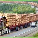 101 Jaw-Dropping Most Dangerous Transport Skills | Biggest Heavy Machinery 이미지