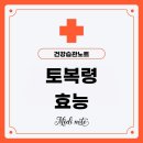 청미래마트 | 토복령 효능 피부와 몸이 달라지는 자연 해독제