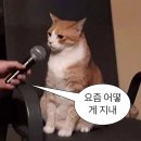 고홍집 이미지