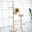 오로라 캣 이미지