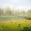 조성체육관 이미지