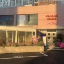 윙키핑키 | 영등포 고양이카페 윙키핑키 솔직 후기