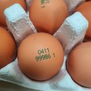 등고개2 이미지