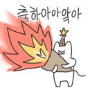 노을보러왔굴