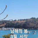 도도앤하우스 이미지