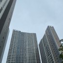 퍼펙트쉴드대구