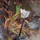 백담주차장 이미지