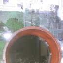 삼도자동차정비 이미지