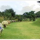 들꽃피는 언덕 이미지