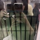 혜원이네포차 | Summer illusions