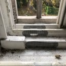 대구방역 이미지